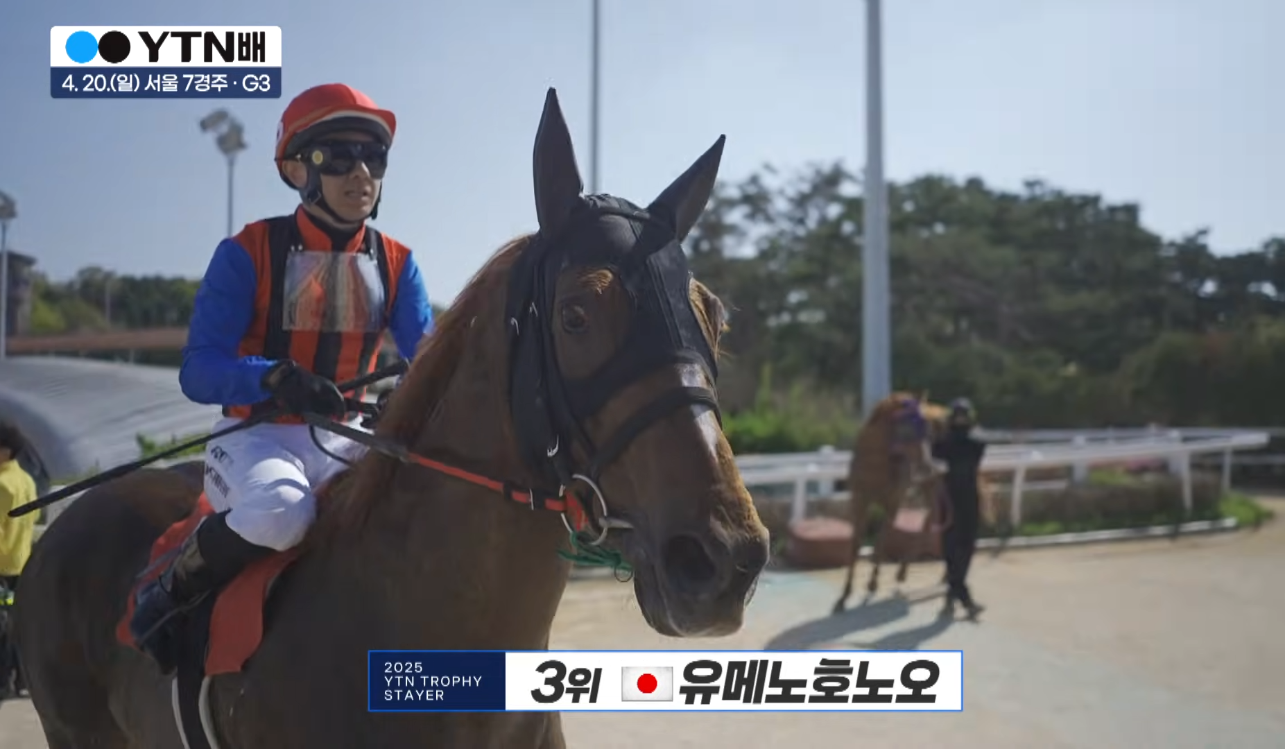 유메노호노오 요시하라 기수