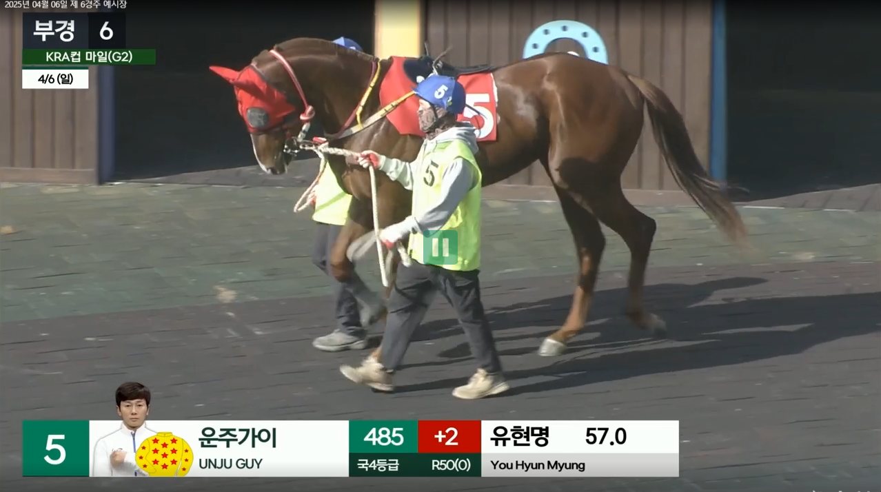 코리안더비 깜짝 준우승마 운주가이